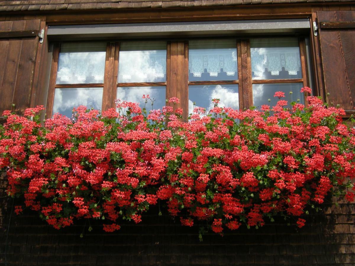 Appartements Karin Mitten Im Gruenen Шопернау Екстериор снимка