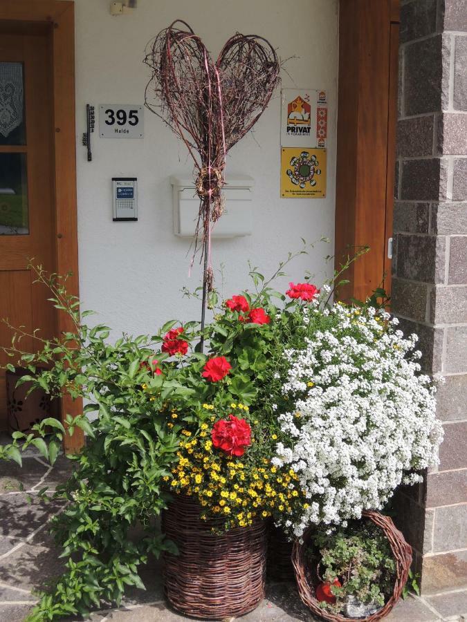 Appartements Karin Mitten Im Gruenen Шопернау Екстериор снимка